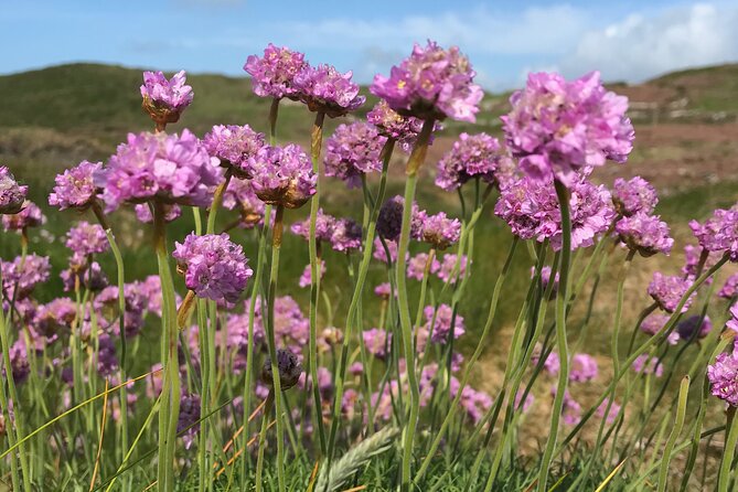 Dawn Pilgrimage and Swim in West Cork - The Post-Swim Breakfast and Local Stories