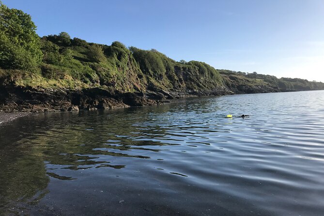 Dawn Pilgrimage and Swim in West Cork - Concluding Remarks on the Dawn Pilgrimage and Swim