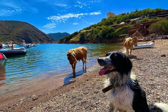 Day at Scandola and Calanques de Piana in a small group - Lunch Break in the Village of Girolata