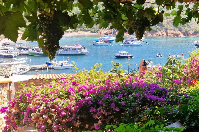 Day at Scandola and Calanques de Piana in a small group - Value and Cost Considerations