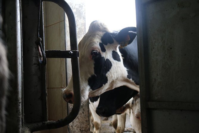 Day at the Farm - Key Points