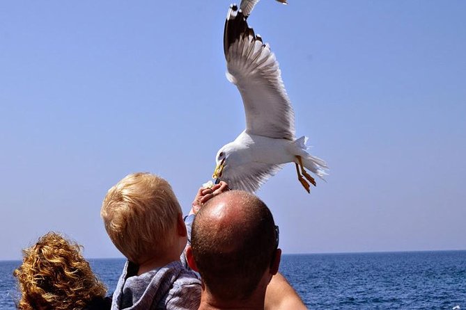 Day Cruise in the Elafiti Islands from Dubrovnik - Potential Drawbacks and Considerations