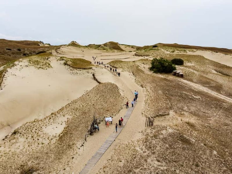 Day group tour: Curonian Spit (Neringa) from Klaipeda (EN) - Exploring Amber Bay and the Hill of Witches