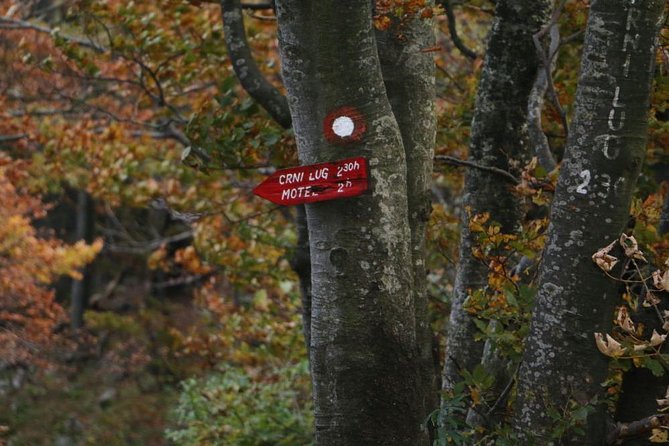 Day Hike in National Park Risnjak from Zagreb - Departing from Zagreb to the Green Lungs of Croatia