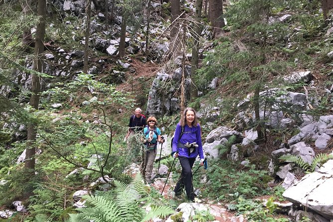 Day Hike in National Park Risnjak from Zagreb - Return Journey to Zagreb in the Evening