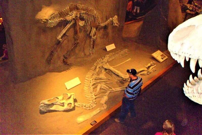 Day of Dinosaurs and Hoodoos From Calgary to the Badlands - Discover Albertas Prehistoric and Natural Wonders in a Day