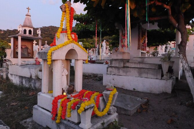 Day of the Dead Cemetery Walk in Puerto Vallarta - Group Size and Accessibility