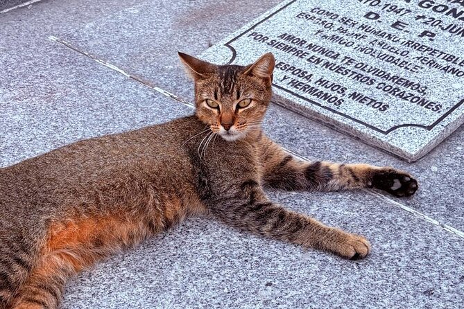 Day of the Dead Cemetery Walk in Puerto Vallarta - Flexibility with Cancellations and Weather