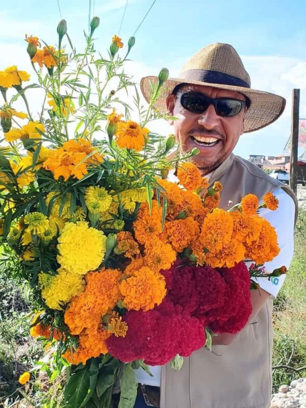 Day of the Dead in Oaxaca: Cultural Tour with a Zapotec Guide (Nov 1 to 3) - Discover the Heart of Oaxaca’s Day of the Dead Traditions with a Zapotec Guide