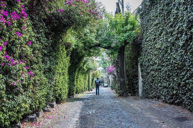 Day of the Dead Living Tradition with Frida Kahlo Museum - Booking and Cancellation Policies