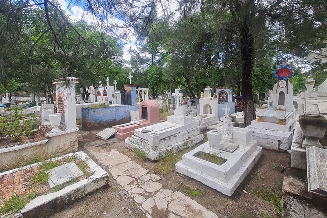 Day of the Dead Walking Tour in San Miguel de Allende - Practicalities and Accessibility