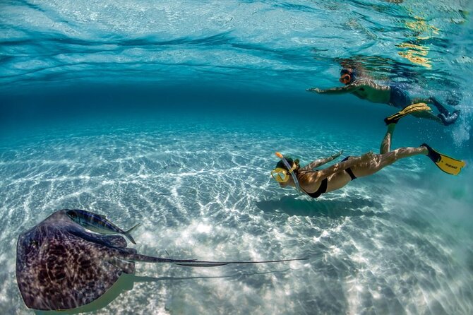 Day Pass To Cozumel Snorkeling By Boat - An Exciting Day of Snorkeling and Beach Relaxation in Cozumel for $115