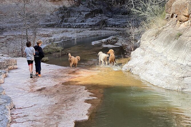 Day Pass to Explore the Lost Mining City of Chrysotile - Camping and Overnight Options in Chrysotile