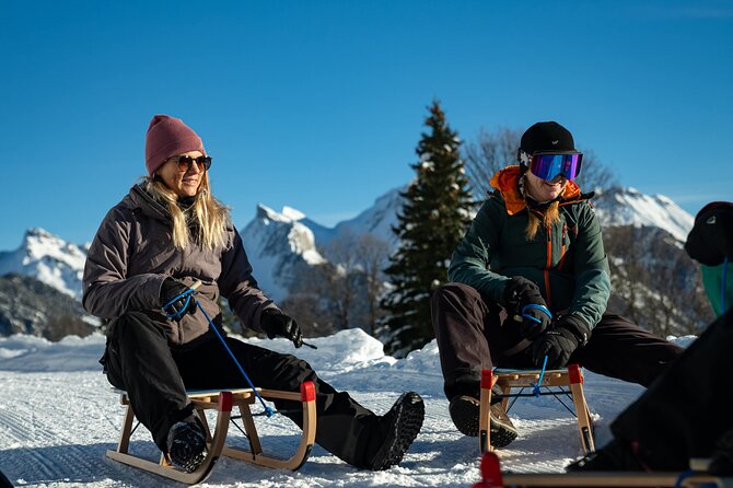 Day Sledding in Interlaken - Guide Experience and Group Atmosphere