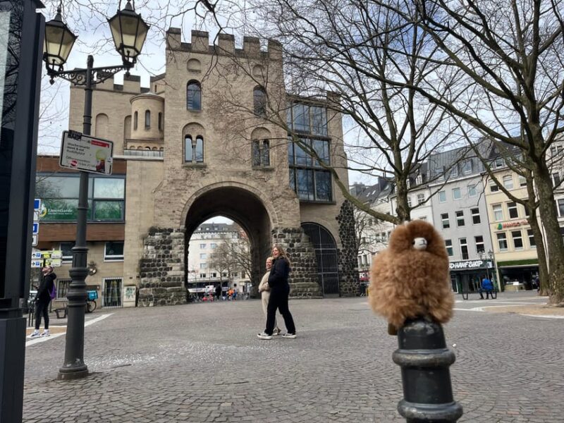 Day tour Aachen & Cologne from Brussels - Return to Brussels in the Evening