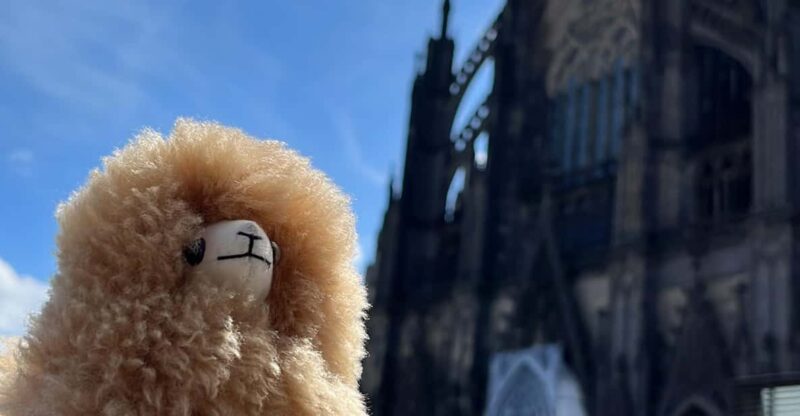 Day tour Aachen & Cologne from Brussels - Who Will Appreciate This Tour?