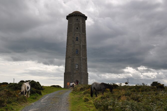 Day Tour from Dublin to Wicklow: Cliffs, Heritage, Wildlife, Gaol - Scenic Drive in Comfortable, Private Transport
