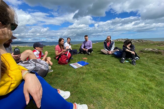 Day Tour from Dublin to Wicklow: Cliffs, Heritage, Wildlife, Gaol - Who Should Consider This Wicklow Day Trip?