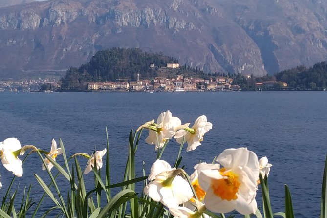 Day tour from Milan: Lake Como & Bellagio with Cruise in a Small-group tour - Physical Requirements and Accessibility