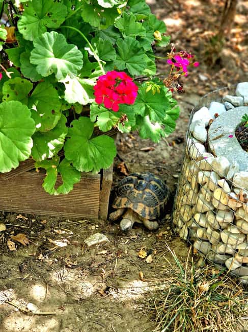 Day tour from Saranda/Ksamil:Gjirokaster +Blue Eye & Lekursi - Final Thoughts on the Gjirokaster + Blue Eye & Lekursi Tour