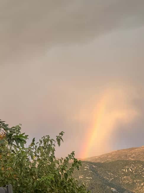 Day Tour Ioannina Lake Island lifestyle - Experiencing the Village Atmosphere and Water Views on the Island