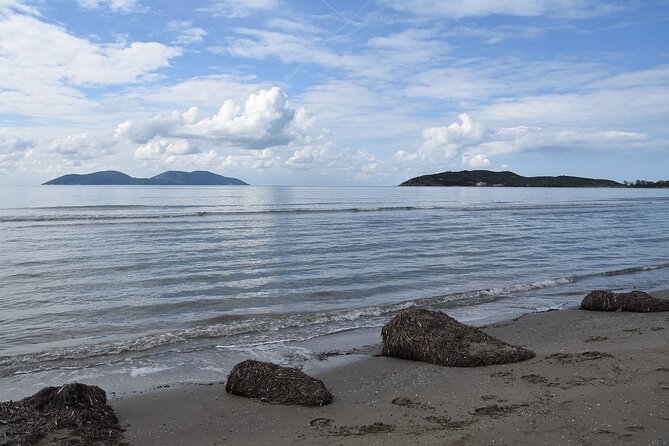 Day tour of Apollonia Park, Vlore and Narta from Tirana&Durres - Frequently Asked Questions