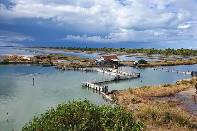 Day Tour of Berat and Karavasta Lagoon from Tirana&Durres - Starting Point and Transportation to Berat and Karavasta Lagoon
