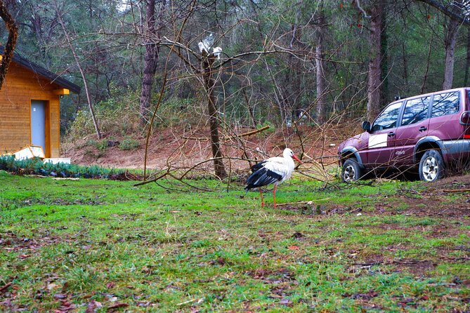 Day Tour of Berat and Karavasta Lagoon from Tirana&Durres - Practical Details: Included and Excluded Services