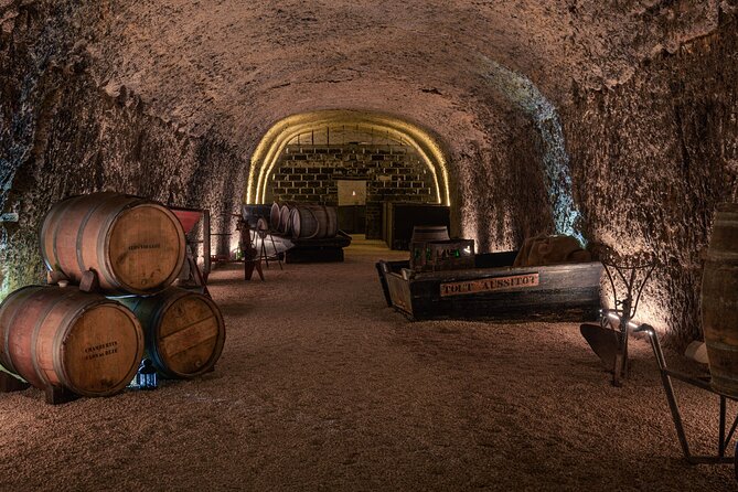 Day Tour of Chateaux of Chenonceau, Chambord & Caves Ambacia from Tours/Amboise - Value and Overall Experience