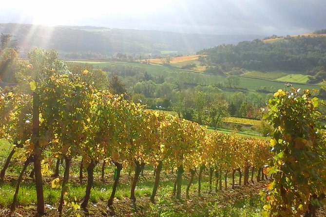 Day tour of the road of the Grands Crus vineyards of Burgundy. - Key Points