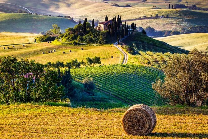 Day Tour of Tuscany from Rome 10 Hours (private cab) - Flexibility and Pacing of the Itinerary