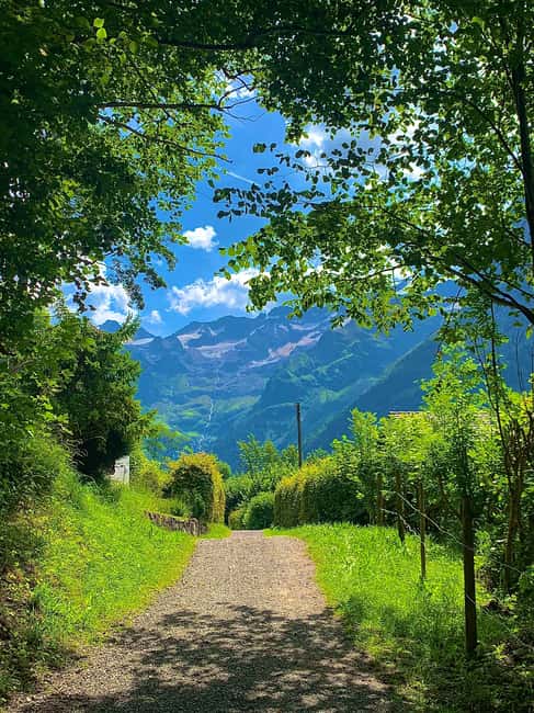 Day Tour or Transfer from Zurich to Engelberg via Lucerne - Why Choose This Tour Over Similar Options