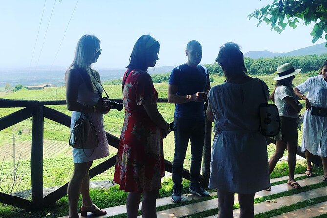 Day Tour Parmigiano, Ferrari Museum, Balsamic, Lambrusco, Lunch with Transfer - Visiting the Ferrari Museum in Maranello