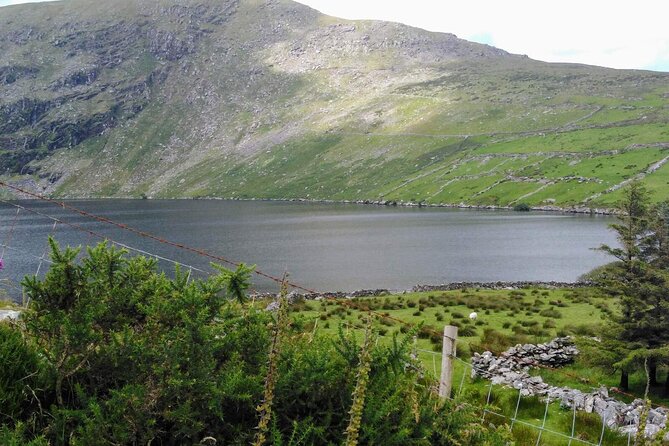 Day Tour Ring of Kerry - Practicalities and Comfort During the Tour