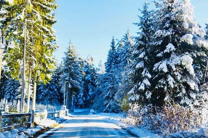 Day Tour: Ski Borovets & Relax in Thermal Pools and Sauna - Exploring St. Alexander Nevski Cathedral in Sofia