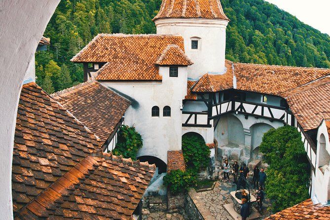 Day Tour to Brasov and Bran - Who Should Book This Tour?
