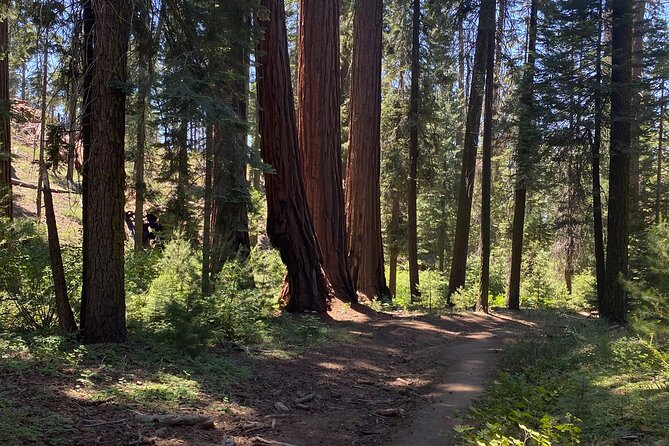 Day Tour to Kings Canyon National Park - Discover the Beauty of Kings Canyon National Park on a Guided Day Tour from Fresno