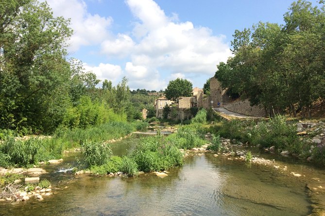 Day Tour to Lagrasse village and Fontfroide Abbey.Private tour from Carcassonne. - Who Will Appreciate This Tour Most