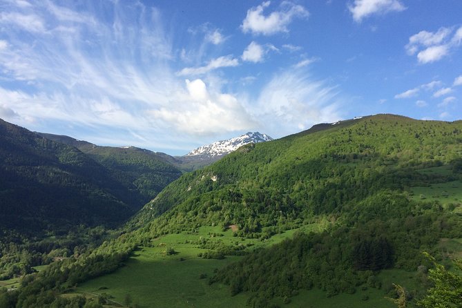 Day Tour to Mirepoix, Montségur, Camon. Private tour from Carcassonne - Visiting Mirepoix: A Medieval Village from the 10th Century