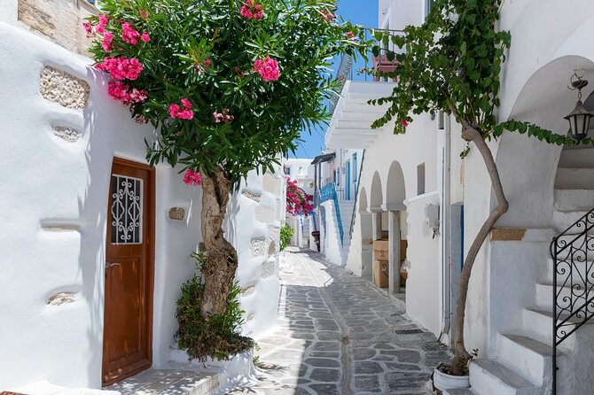 Day Tour to Santorini Island from Heraklion Crete - Return Journey from Santorini to Heraklion