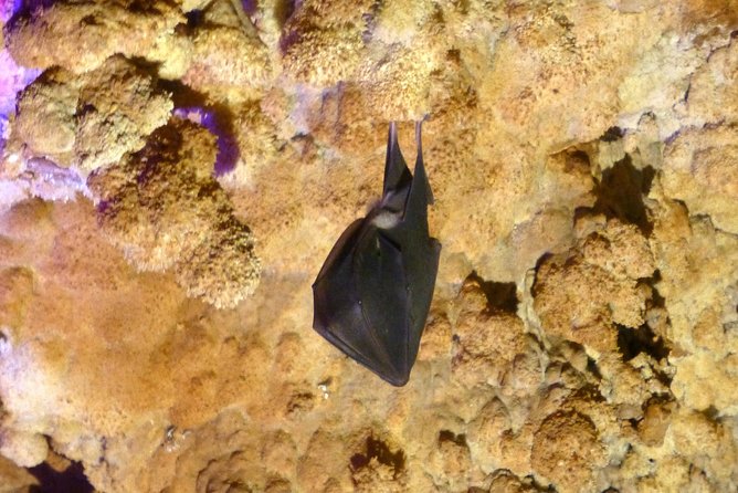 Day tour to the Natural wonders Belogradchik Rocks & Venetsa cave - Discovering Venetsa Cave: A Balkan Beauty