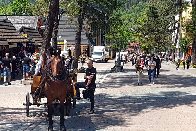 Day Tour to Zakopane and Tatra Mountains from Krakow - Who Should Consider This Tour?