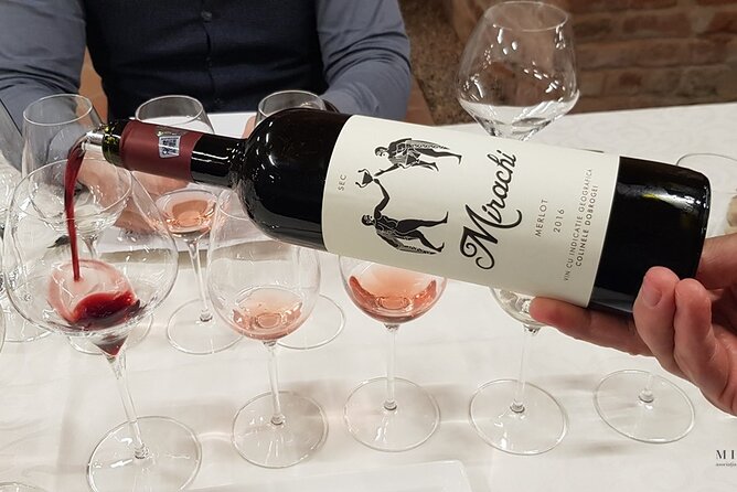 Day Tour: Visit Histria Winery and Ancient Citadel - Explore the Ancient City of Histria and Taste Local Wines