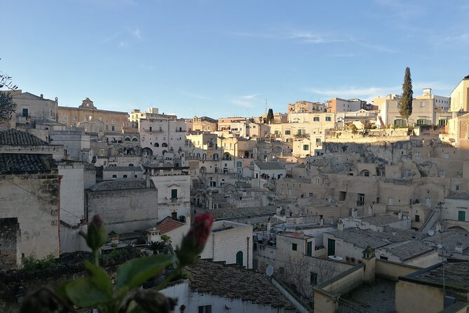 Day tours from Bari: Explore Polignano, Alberobello, Matera - Practical Details and Optional Extras