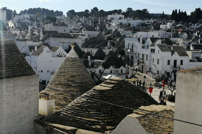 Day tours from Bari: Explore Polignano, Alberobello, Matera - Insights from Reviews: Knowledgeable Guides and Scenic Flexibility