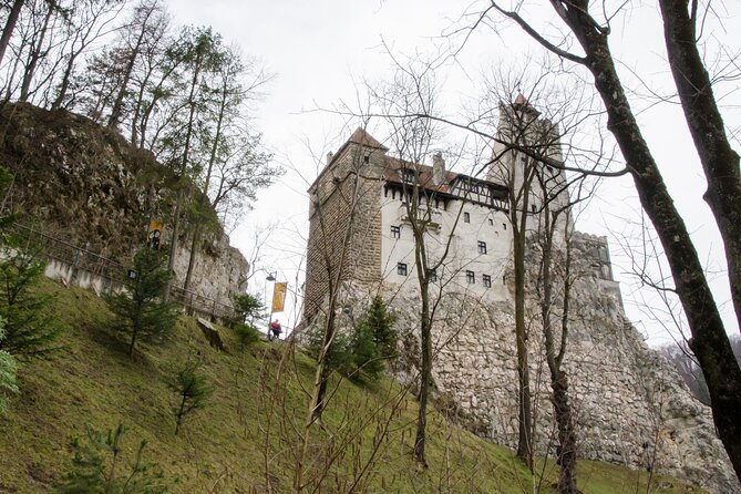 Day Trip Bear Sanctuary, Bran Castle, Rasnov Fortress from Brasov - Key Points