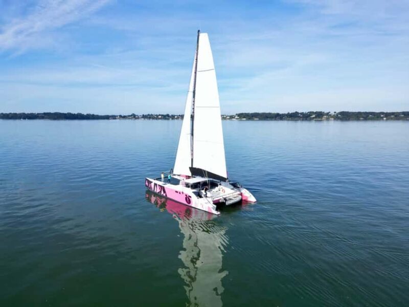 Day trip by catamaran to the island of Hoëdic from Port-Blanc - Key Points