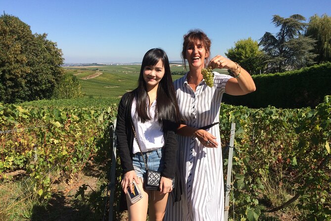 Day trip by van in Champagne small group of 8 - Logistics and Group Size