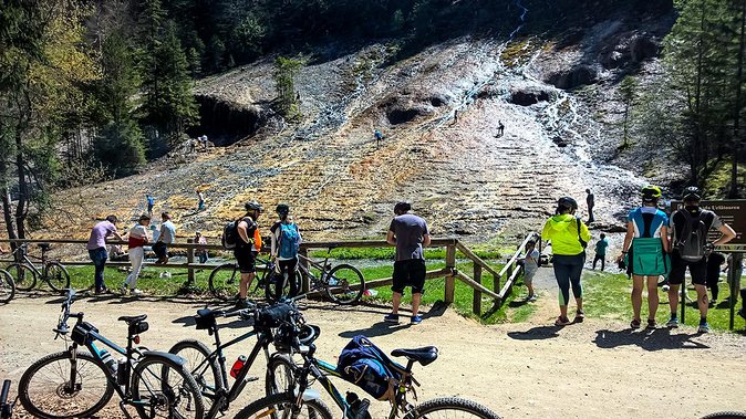 Day trip from Brasov: Bison reserve & traditional lunch - Ease of Travel with Hotel Pickup and Small Groups