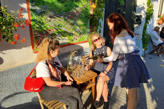 Day trip from Bratislava: Winery Tour with Wine Tasting in the Countryside - Scenic Viewpoint Stop in Svaty Jur